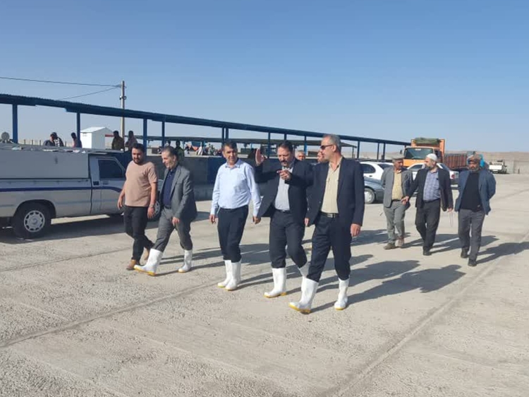  بازدید تعدادی از مسئولین از بازار دام شهرستان